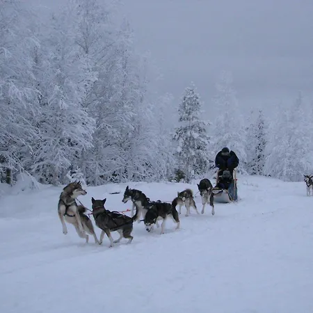 Willis West 2* Ruka