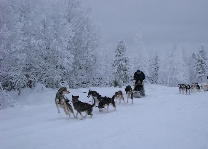 Willis West 2* רוקה